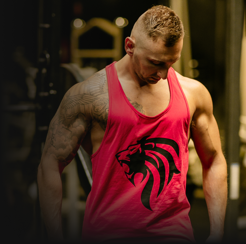 Stringer Ads ROAR STRINGER - LIONS BLOOD – Kingdom of Strength